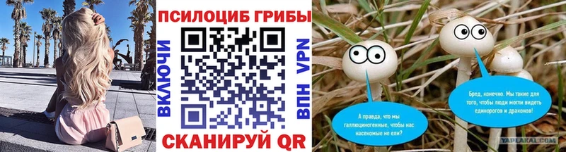 Псилоцибиновые грибы MAGIC MUSHROOMS  Кашира 